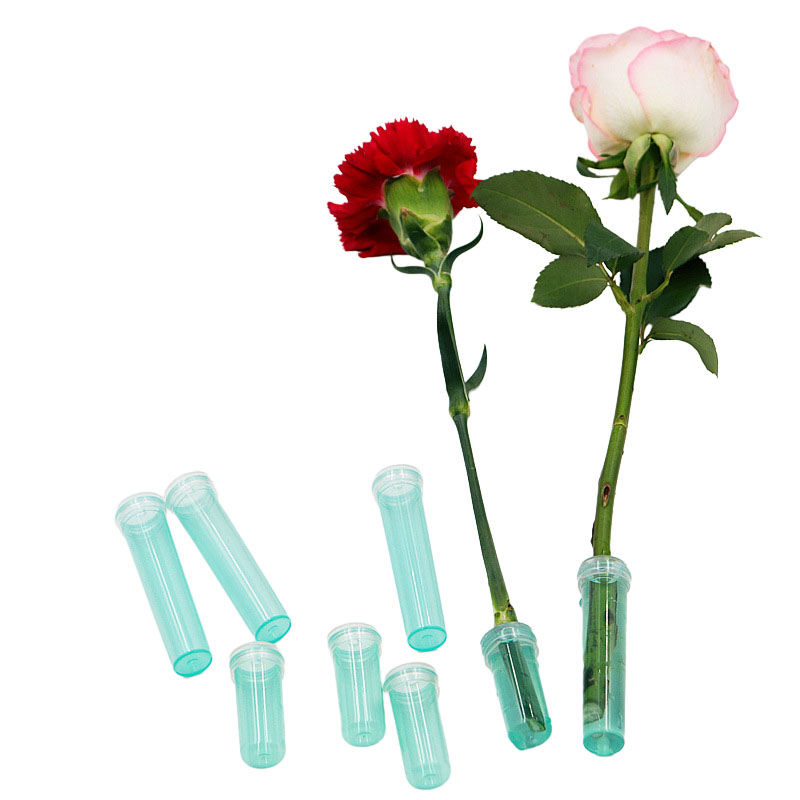20Pcs Plastic Fresh Flower Nut - đánh giá và giá Hydroponic Grow Pod
