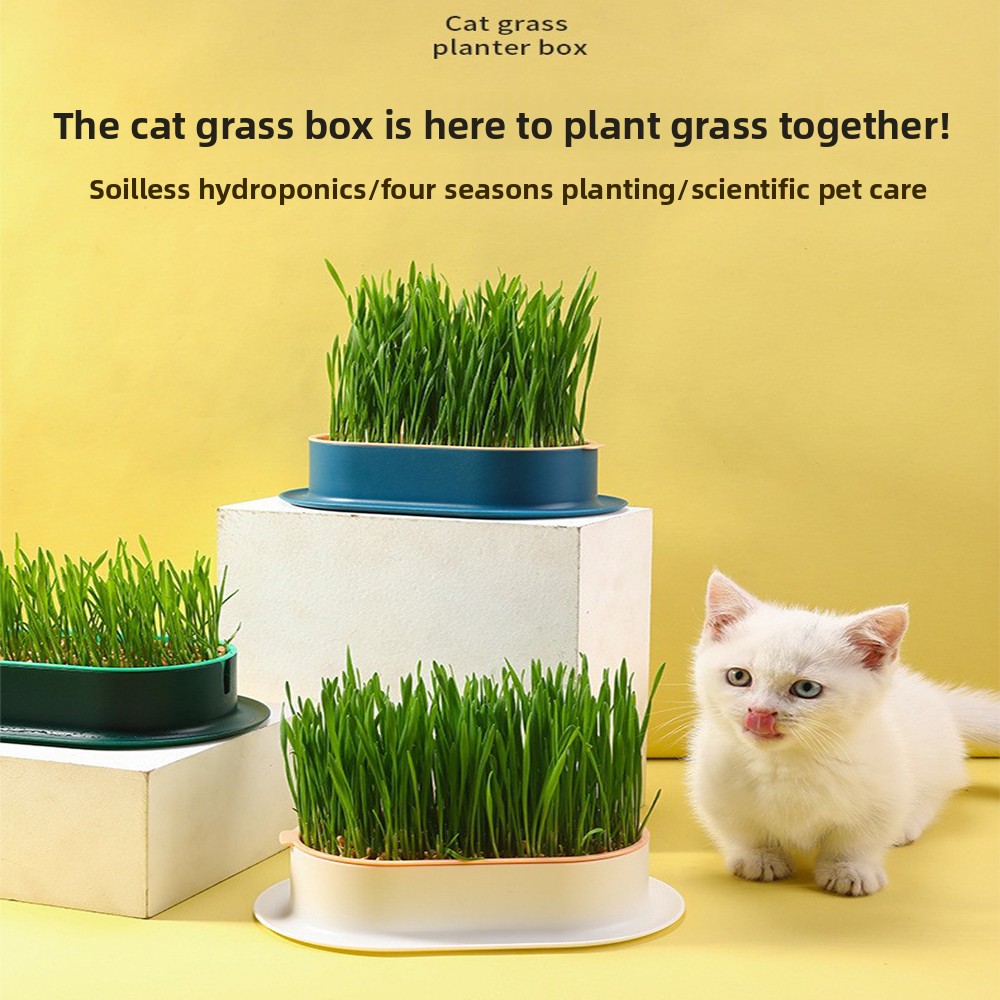 Pet Supplies Cat Snacks Cat Pl - đánh giá và giá Hydroponic Grow Pod