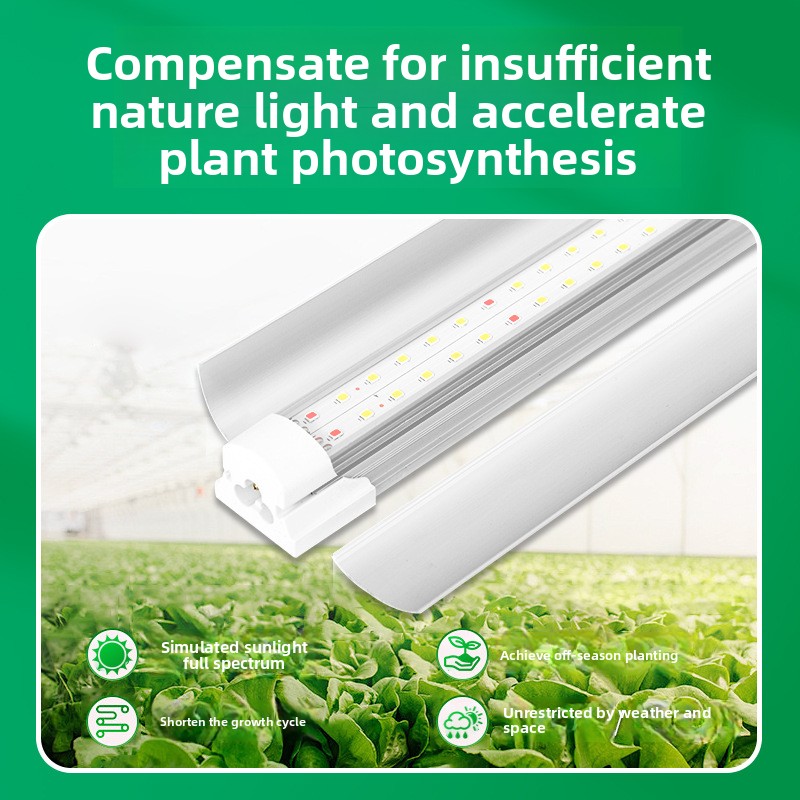 Indoor Green Plant Supplement  - đánh giá và giá Plant Grow Light Full Spectrum