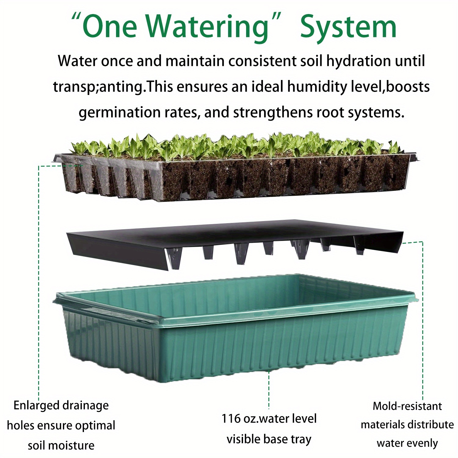 Self-Watering seedling Trays 2 - đánh giá và giá Automatic Watering