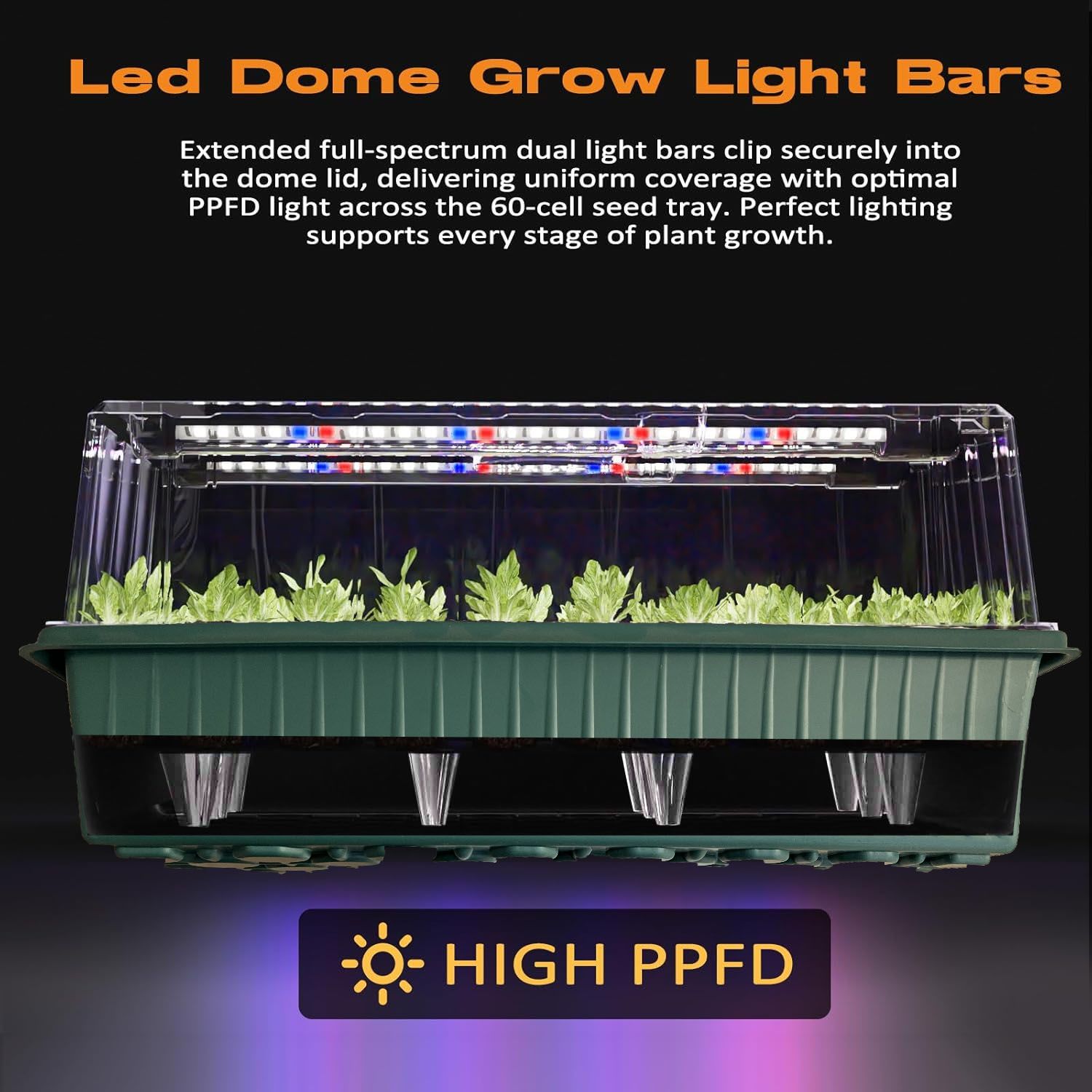 Self-Watering seedling Trays 2 - đánh giá và giá Automatic Watering