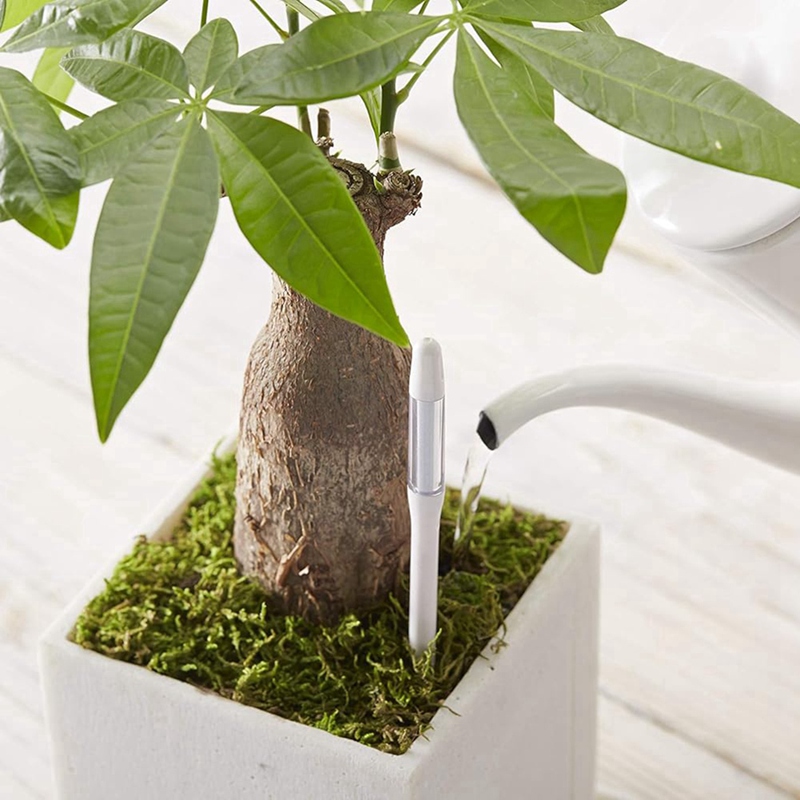 Aquameter, 5pcs, Plant Soil Mo - đánh giá và giá Plant Sensor