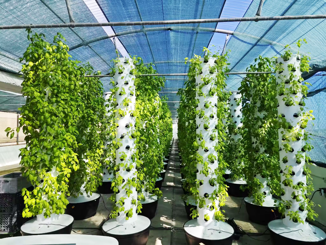 High Quality Easy Install Smal - đánh giá và giá Hydroponic Tower