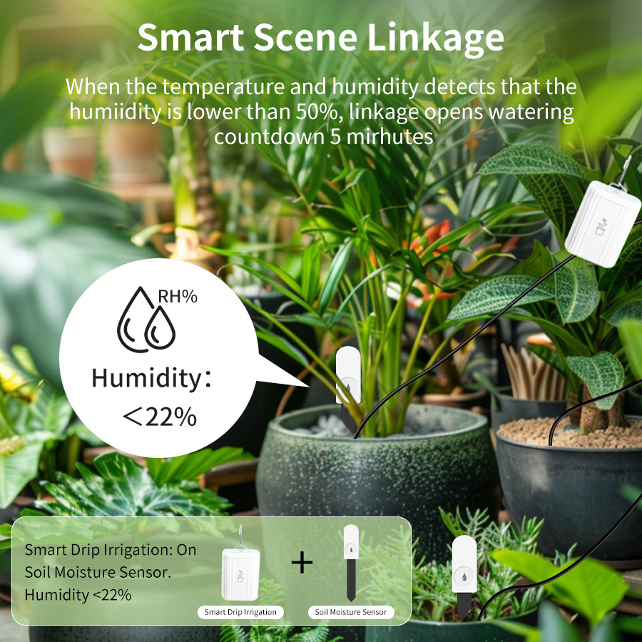Smart Zigbee 3.0 Soil Tester H - đánh giá và giá Plant Monitor