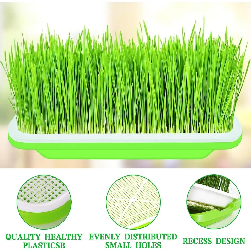 Microgreens Sprout Tray Germin - đánh giá và giá Hydroponic Grow Pod