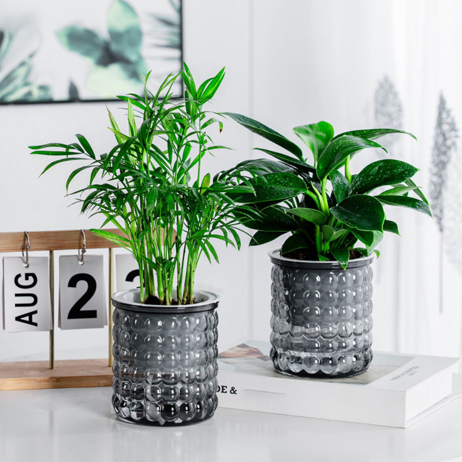New Self Watering Hydroponic P - đánh giá và giá Hydroponic Grow Pod
