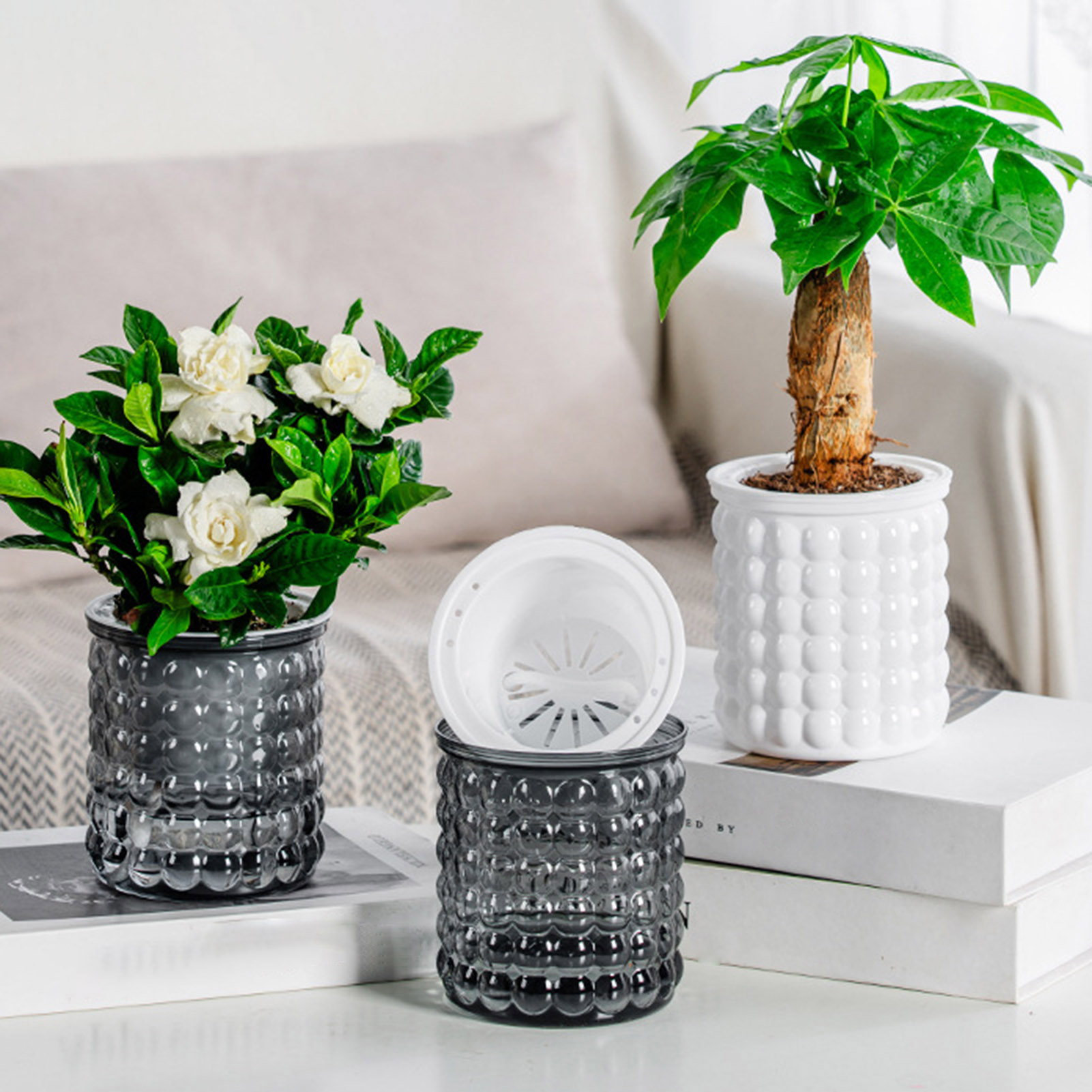 New Self Watering Hydroponic P - đánh giá và giá Hydroponic Grow Pod
