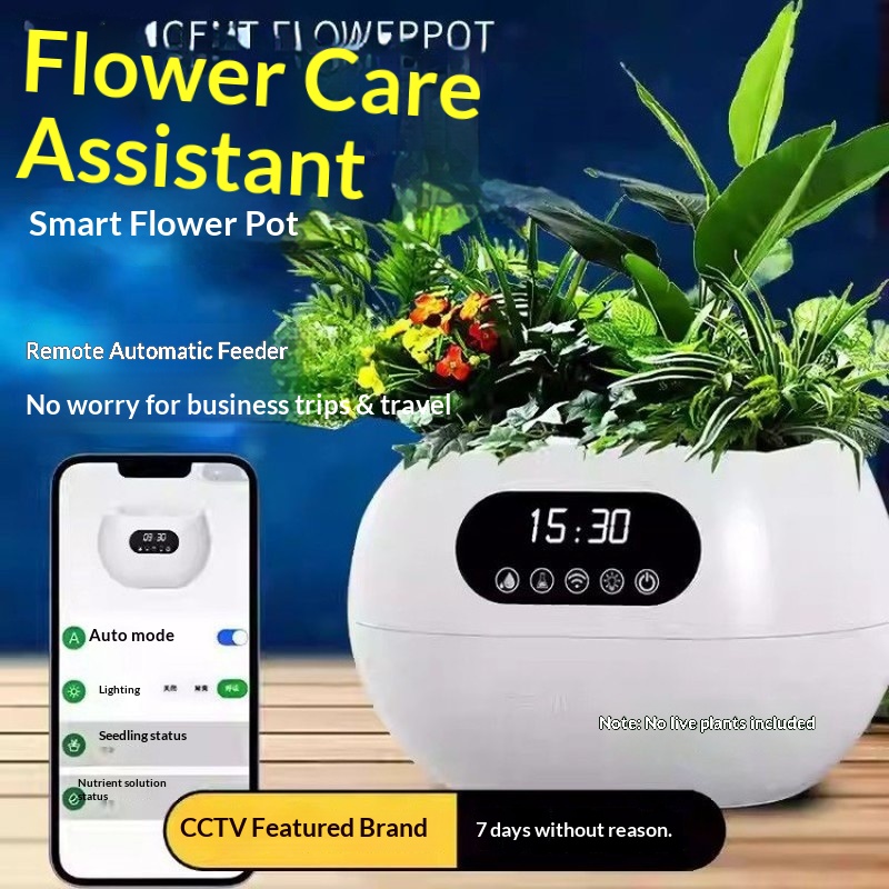 Ai Intelligent Flowerpot Autom - đánh giá và giá Automatic Watering