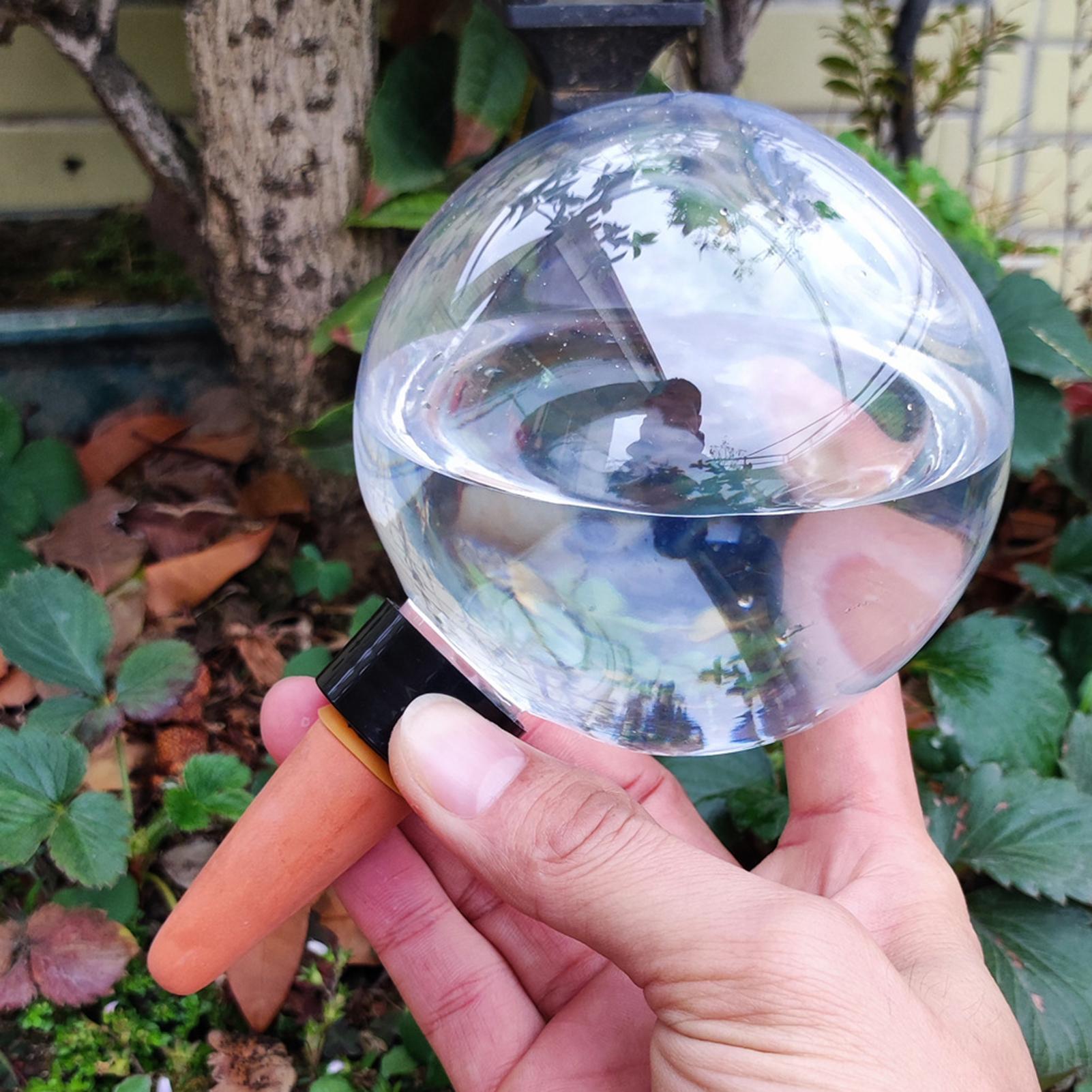 500ml Automatic Plant Watering - đánh giá và giá Self Watering Planter