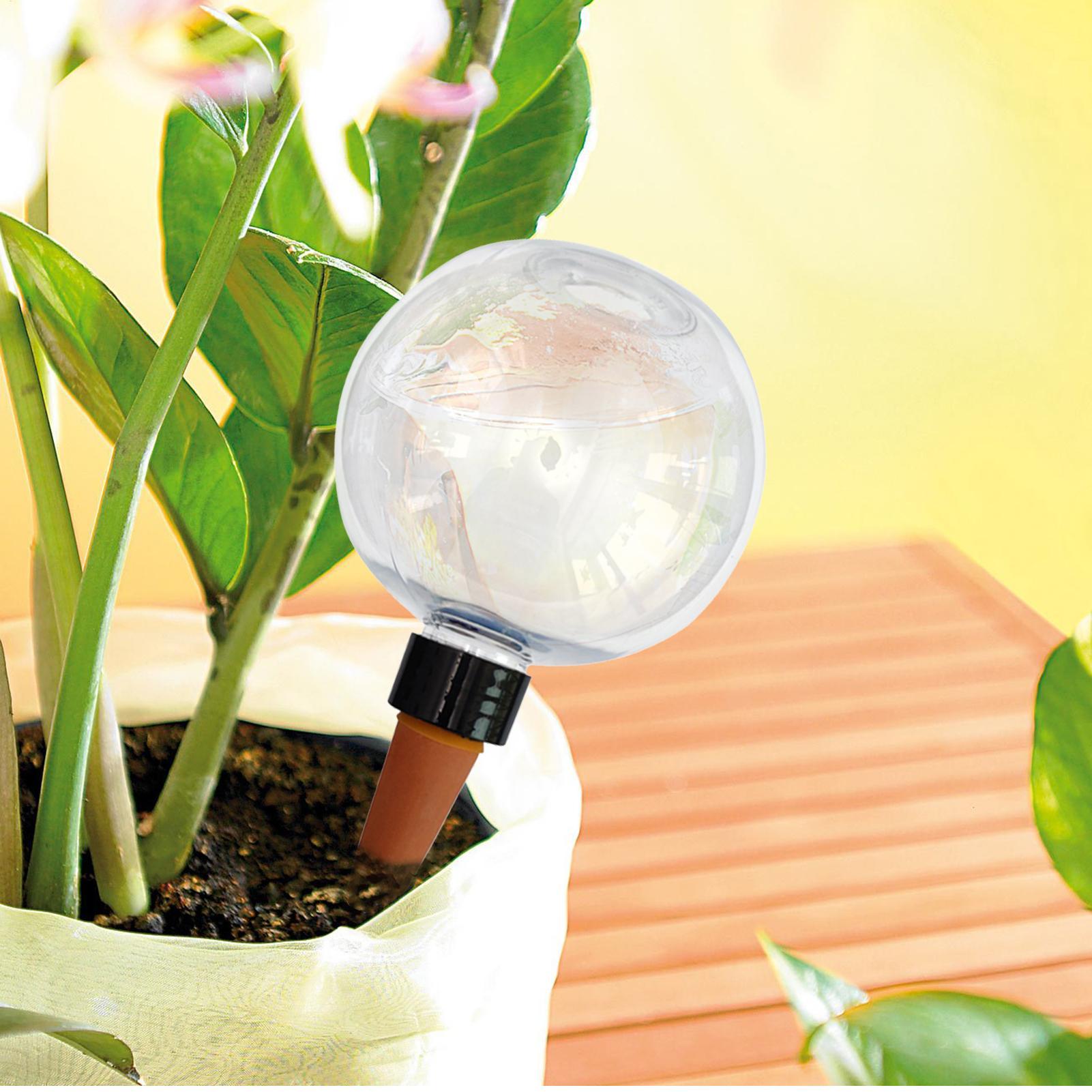 500ml Automatic Plant Watering - đánh giá và giá Self Watering Planter