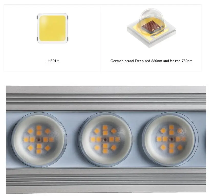 Koray 900W Indoor full spectru - đánh giá và giá Plant Grow Light Full Spectrum