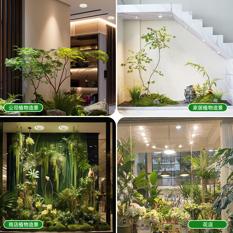 Full Spectrum Dimmable Focus L - đánh giá và giá Plant Grow Light Full Spectrum
